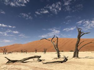 NAMIBIA říjen 2019 - Foto 8